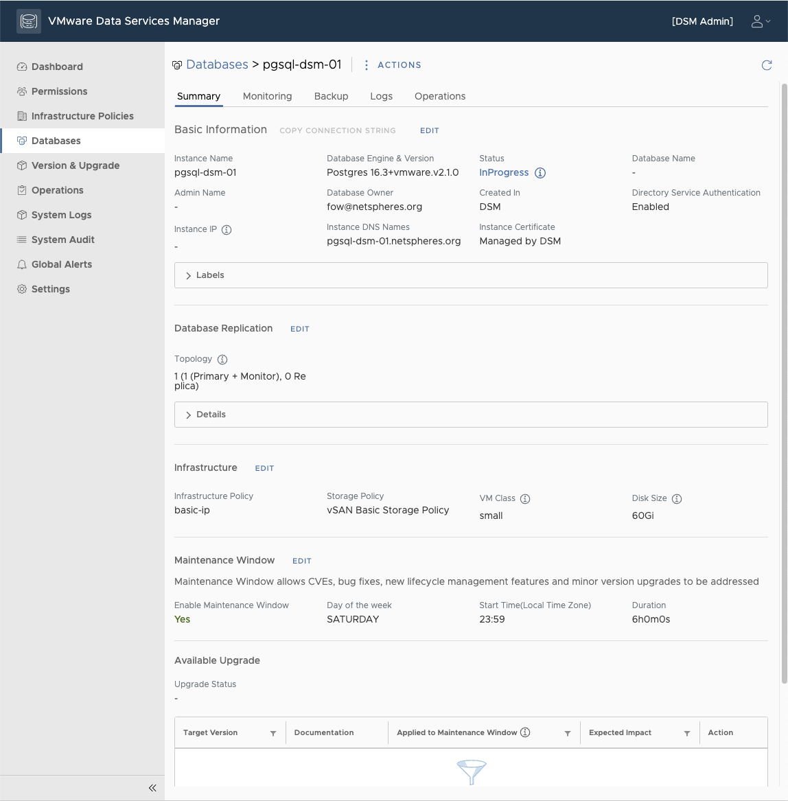 Data Services Manager의 PostgreSQL 데이터베이스 요약 페이지에 토폴로지, 인프라 정책, 유지보수와 업그레이드 정보가 길게 표시된 화면.