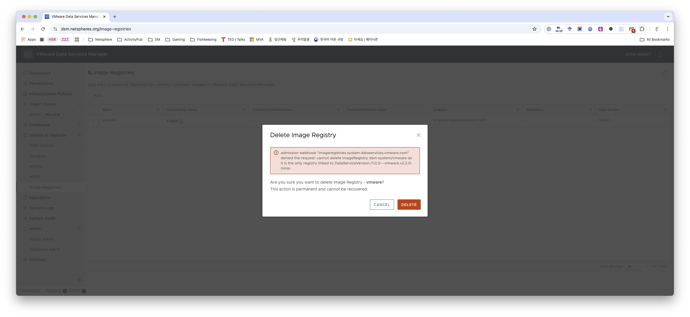 VMware Data Services Manager 스크린샷으로, Image Registry 삭제를 확인하는 경고 대화상자가 열려 있음.
